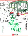 天庭老司机