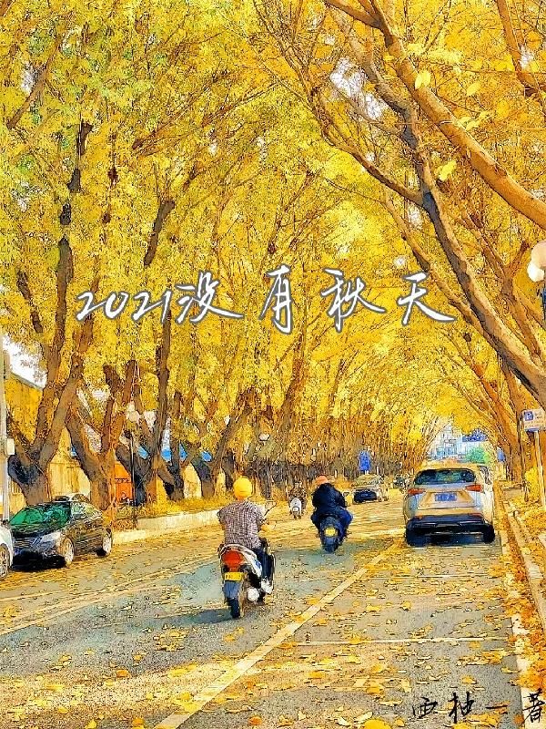 2021没有秋天