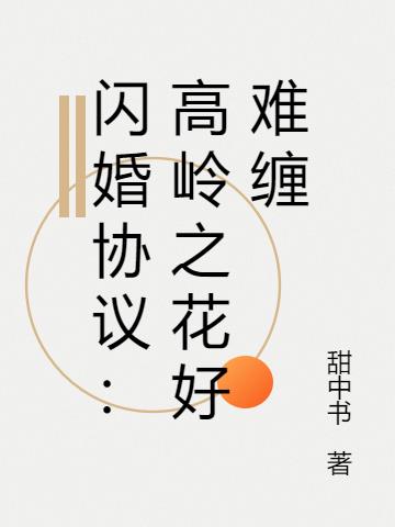 闪婚协议：高岭之花好难缠