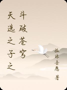 天选之子之斗破苍穹