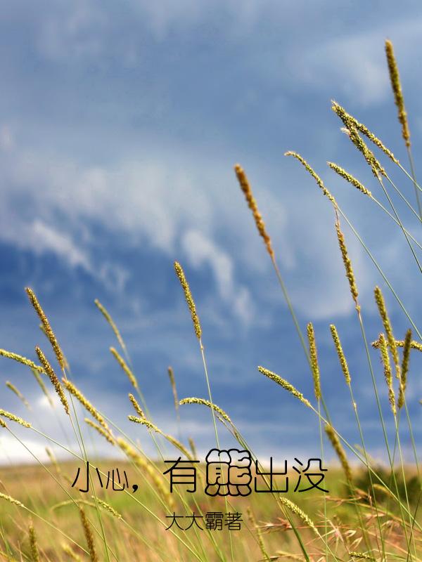 小心,有熊出没