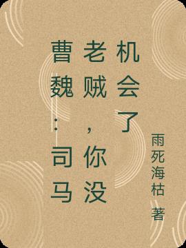 曹魏：司马老贼,你没机会了