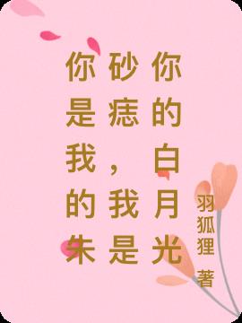 你是我的朱砂痣,我是你的白月光