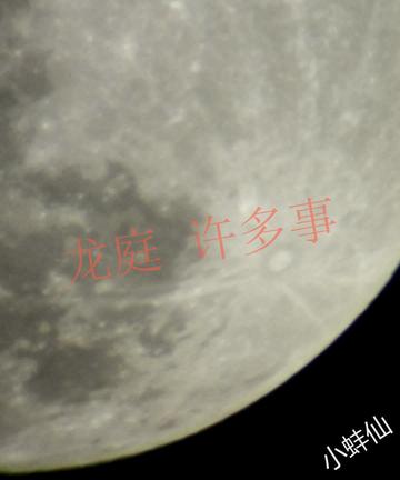 龙庭许多事