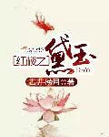 红楼之黛玉