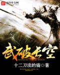 重生之武破长空