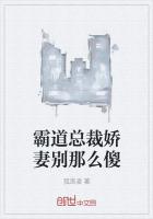 霸道总裁娇妻别那么傻