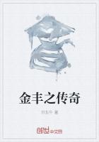 金丰之传奇
