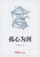 孤心为剑