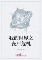 我的世界之丧尸危机