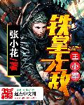 铁掌无敌王小军