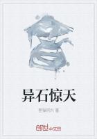 异世的魔石传说