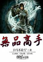 无品高手