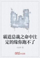 霸道总裁之命中注定的缘你跑不了