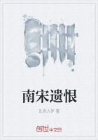 南宋遗恨