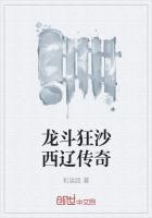 龙斗狂沙西辽传奇
