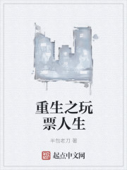重生之玩票人生