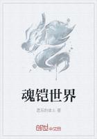 魂铠世界