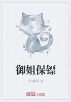 御姐保镖