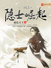 三国之隐士崛起