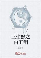 三生愿之白王泪