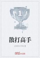 散打高手