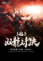 三国之双龙对决