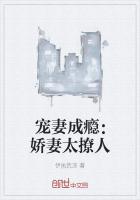 宠妻成瘾：娇妻太撩人