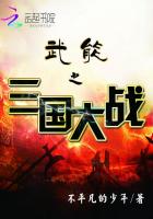 武能之三国大战