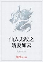 仙人无敌之娇妻如云