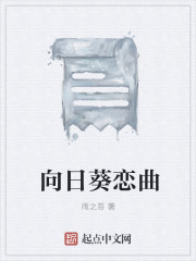 向日葵恋曲