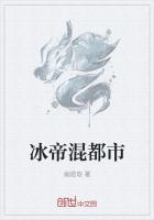冰帝混都市