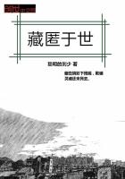 藏匿于世