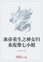 冰帝重生之神女归来废柴七小姐