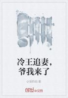 冷王追妻，爷我来了