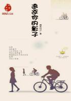 追逐你的影子