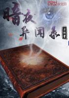 暗夜异闻录