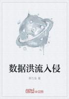 数据洪流入侵