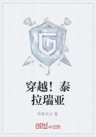 穿越！泰拉瑞亚