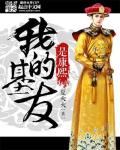 极品兵王闯大清