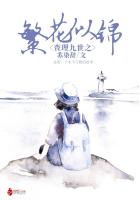 查理九世之繁花似锦