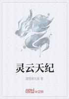 灵云天纪