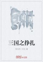 三国之挣扎