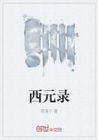 西元录