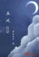辰风日记
