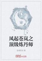 风起苍岚之顶级炼丹师