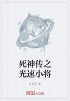 死神传之光速小将