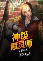 神级赋灵师