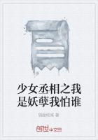 少女丞相之我是妖孽我怕谁