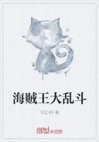 海贼王大乱斗